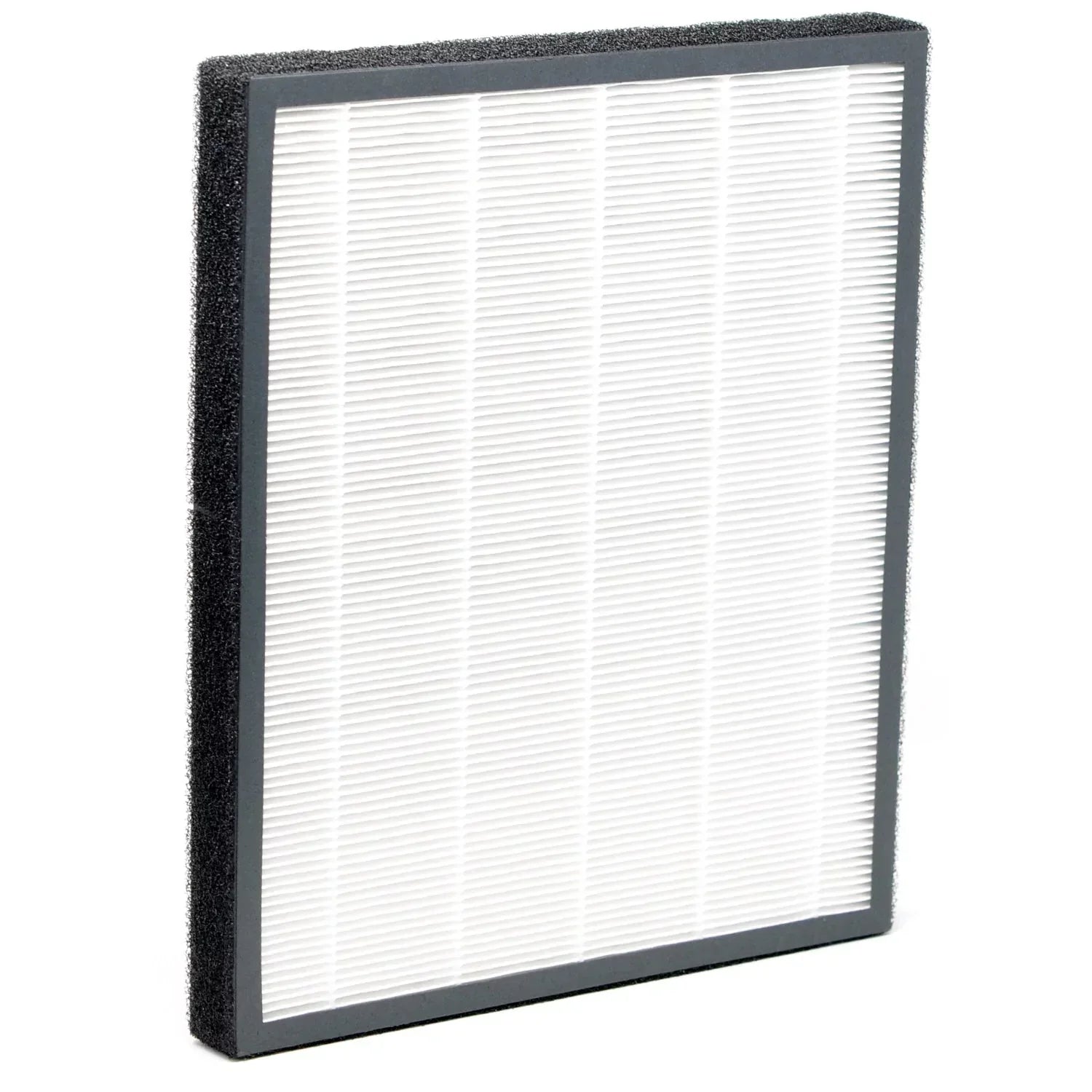 NaturoPure HEPA / Activated Carbon Filter HF 310A (XJ-3100A)
