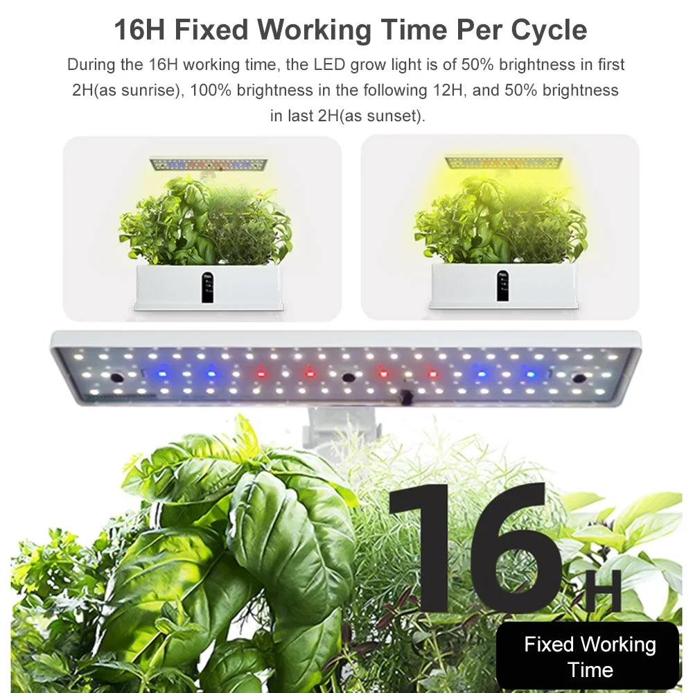 moobody Hydroponics Growing System Indoor Garden Kit 9 Pods Smart with Adjustable Height LED Lights for Home Office Kitchen