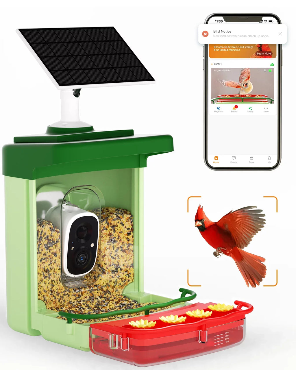 Bird Feeder with Camera, Hummingbird Camera 2 in 1 Feeders with AI Identify Bird Species, Auto Capture Unique Close-Ups of Birds with 3MP HD Camera, Ideal Gift for Anyone