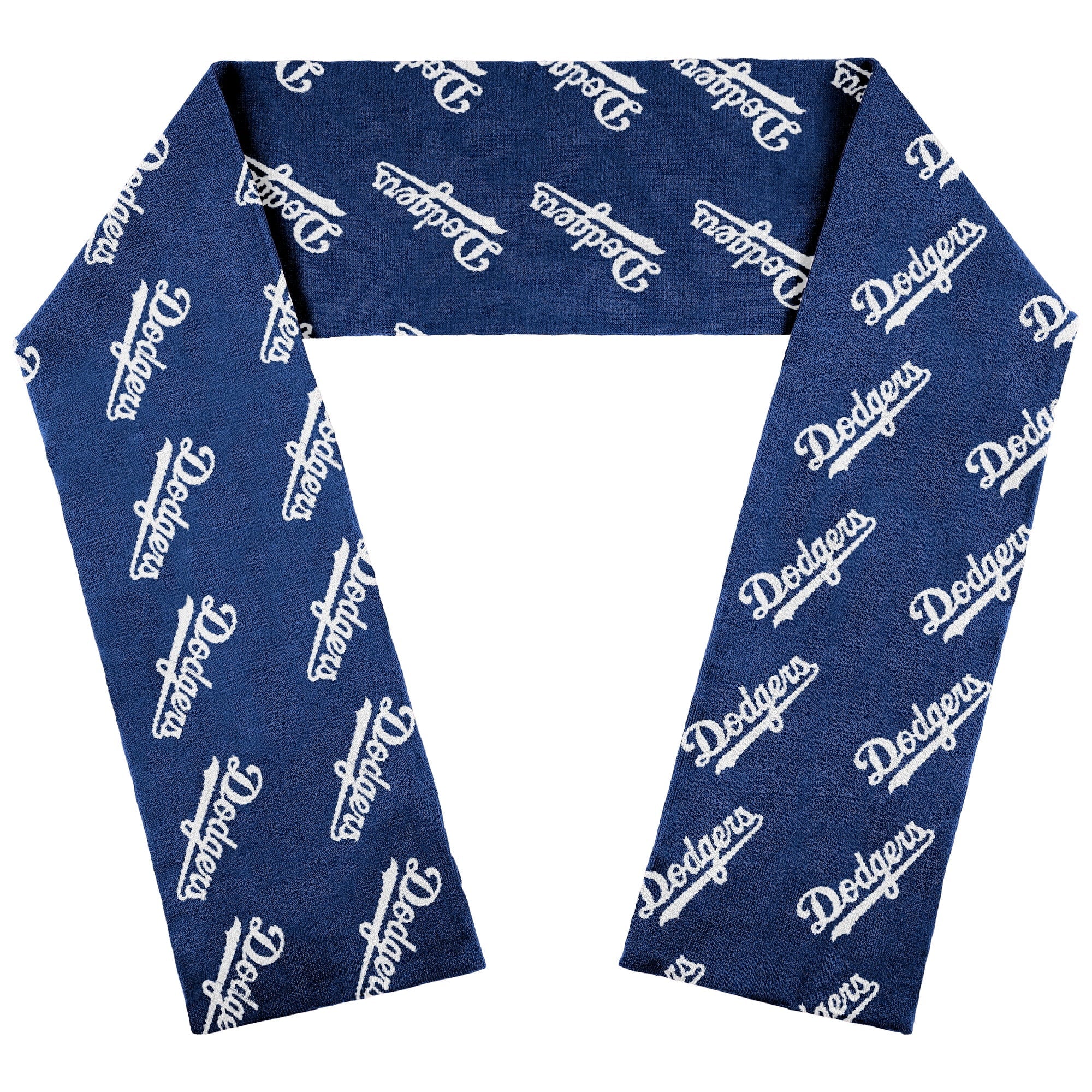 WEAR by Erin Andrews Los Angeles Dodgers Team Wordmark Scarf