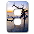 3dRose USA, Georgia. Jekyll Island, tree, ocean - 2 Plug Outlet Cover (lsp_278900_6)