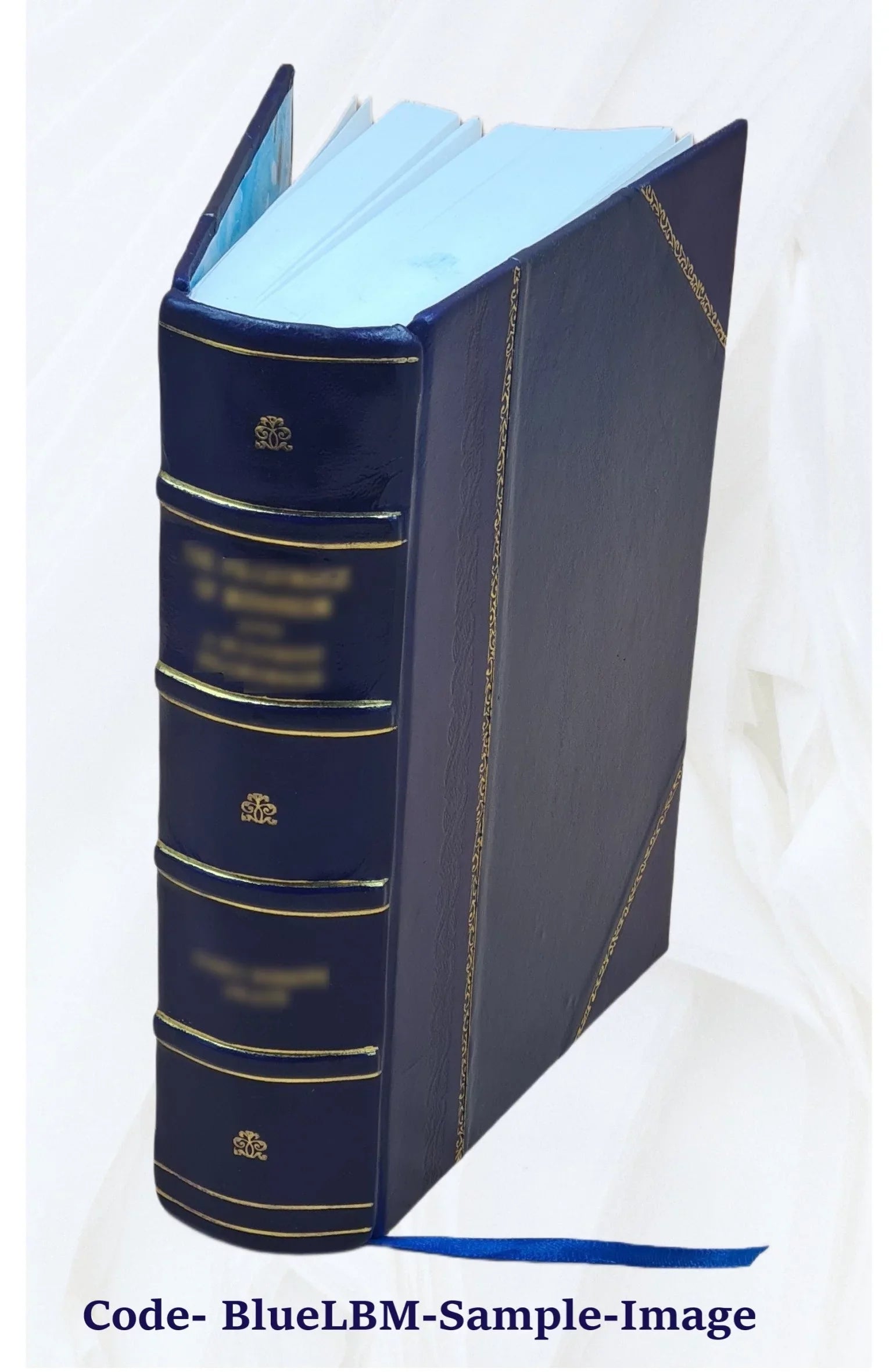 Le diocèse de Genève (partie de Savoie) pendant la Révolution française Volume 1 1894 [Leather Bound]
