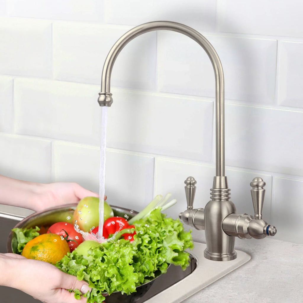 APEC Arlington 2-Handle Instant Hot and Cold Reverse Osmosis Drinking Water Dispenser Faucet in Brushed Nickel
