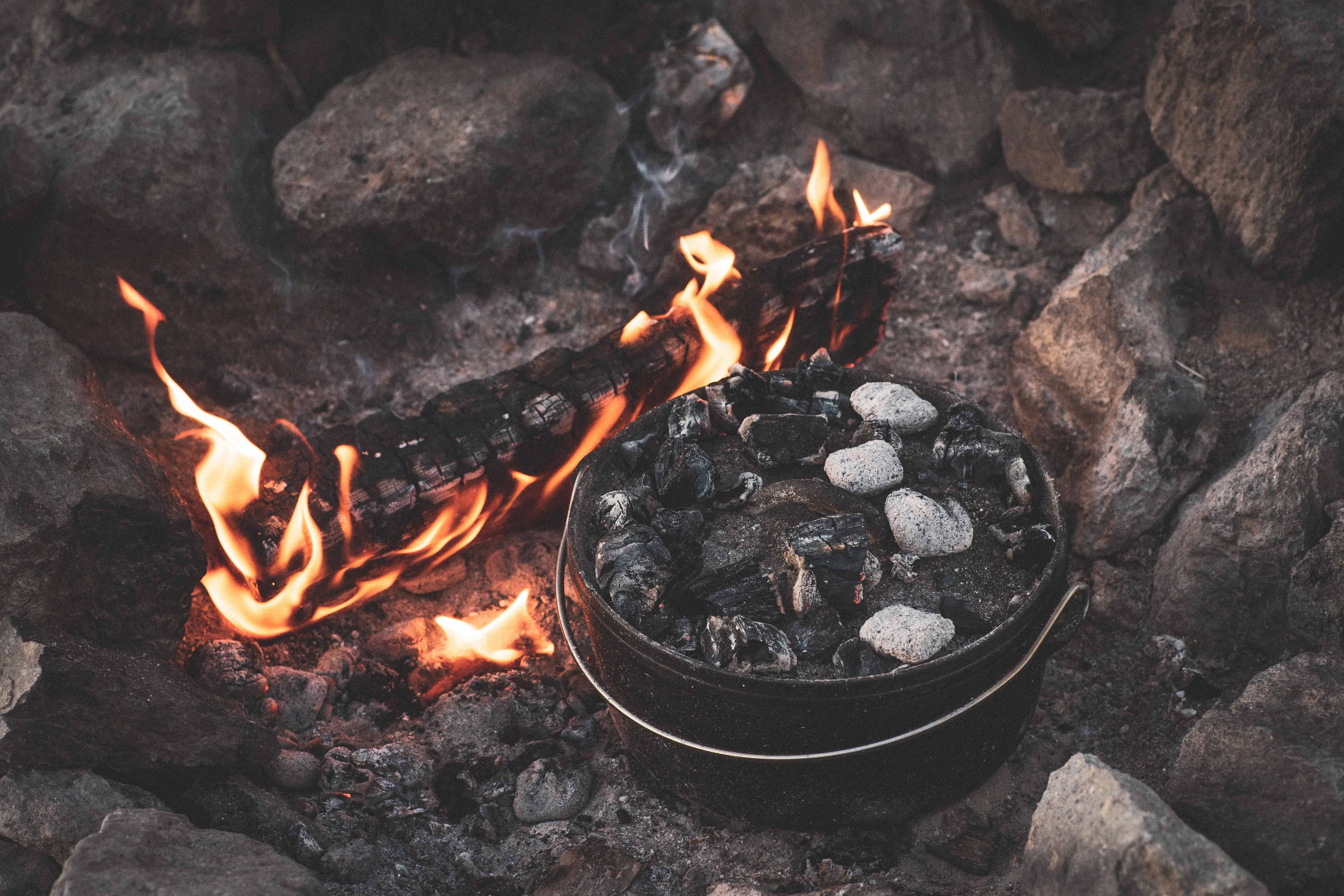 Camp Chef 12 Quart 16" Classic Dutch Oven, Pre-Seasoned Cast Iron, SDO16