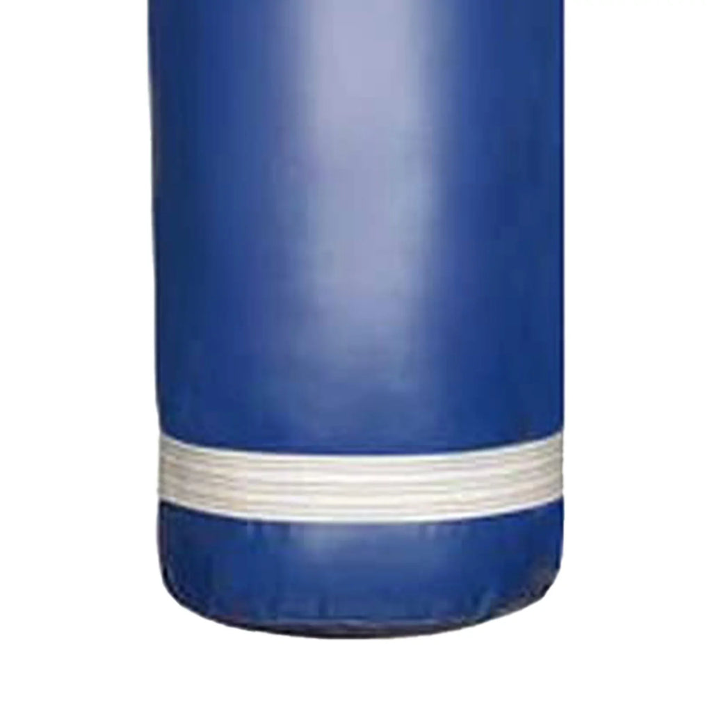 PROLAST 80 Lb Boxing MMA Training Filled Heavy Hanging Punching Bag, Blue