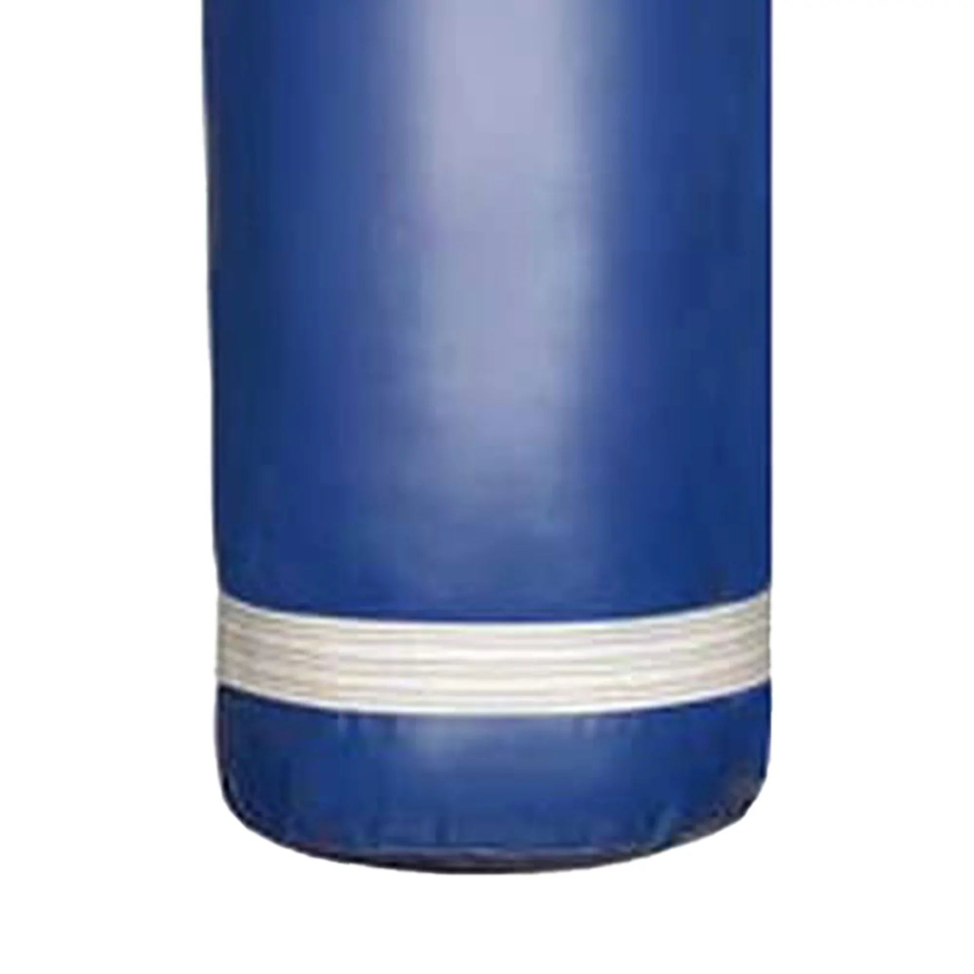 PROLAST 80 Lb Boxing MMA Training Filled Heavy Hanging Punching Bag, Blue