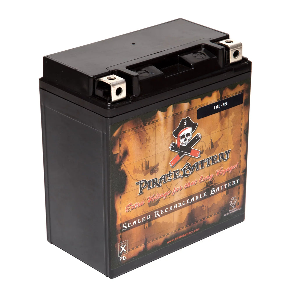 Pirate Battery YTX16L-BS (16L-BS 12 Volt,14 Ah, 230 CCA) Jet Ski Battery for Kawasaki Jf650 Ts 1996