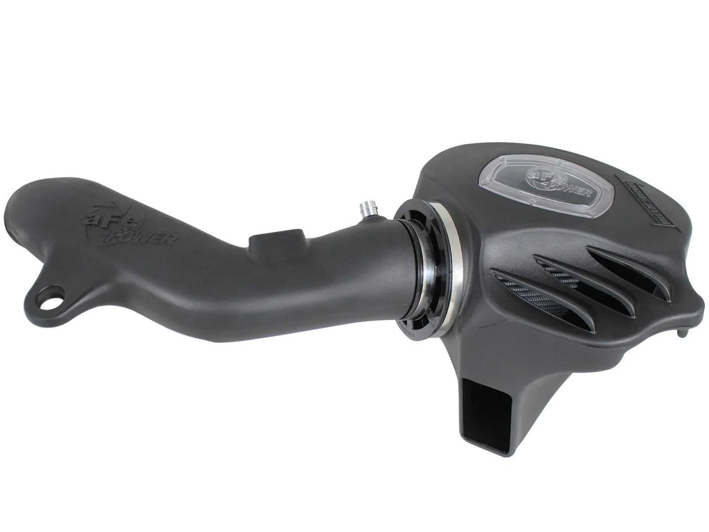 Momentum Cold Air Intake System w/ Pro DRY S Filter