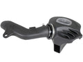 Momentum Cold Air Intake System w/ Pro DRY S Filter