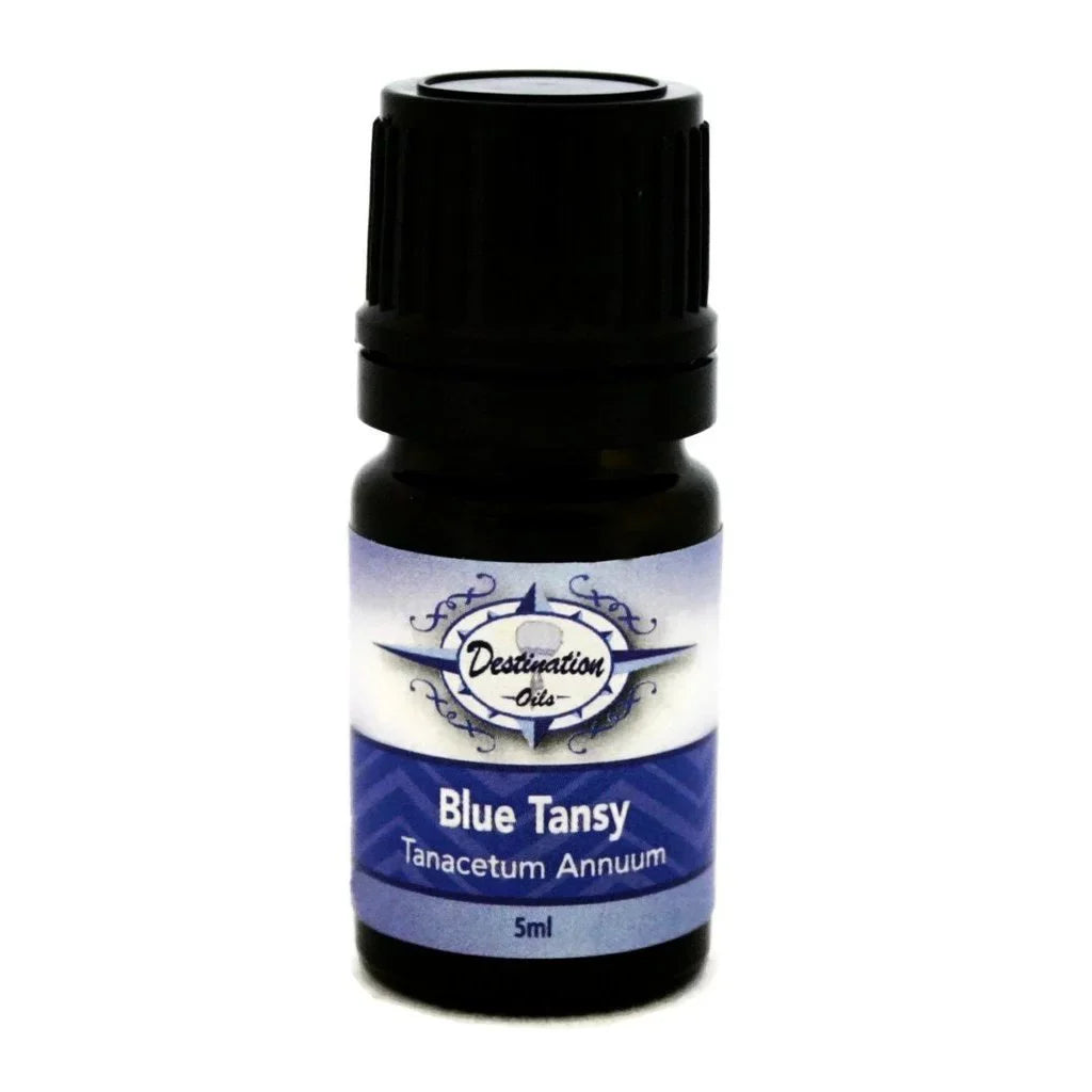 Destination Oils Blue Tansy Essential Oil 50/50 dilution 5ml