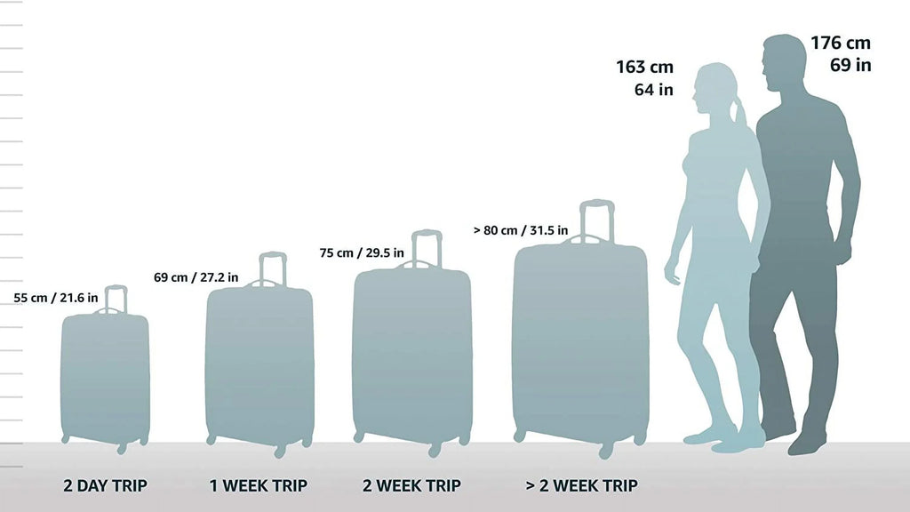 26 Inch Medium Pullman (W Garment Bag)