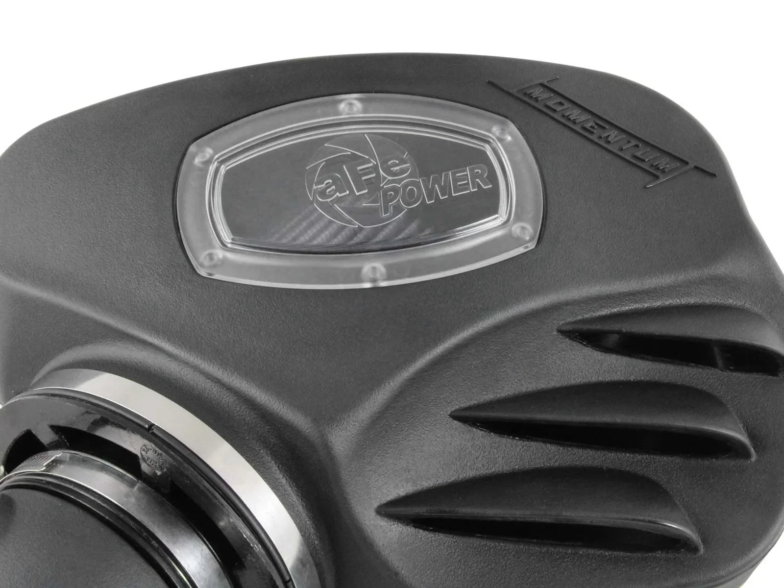 Momentum Cold Air Intake System w/ Pro DRY S Filter