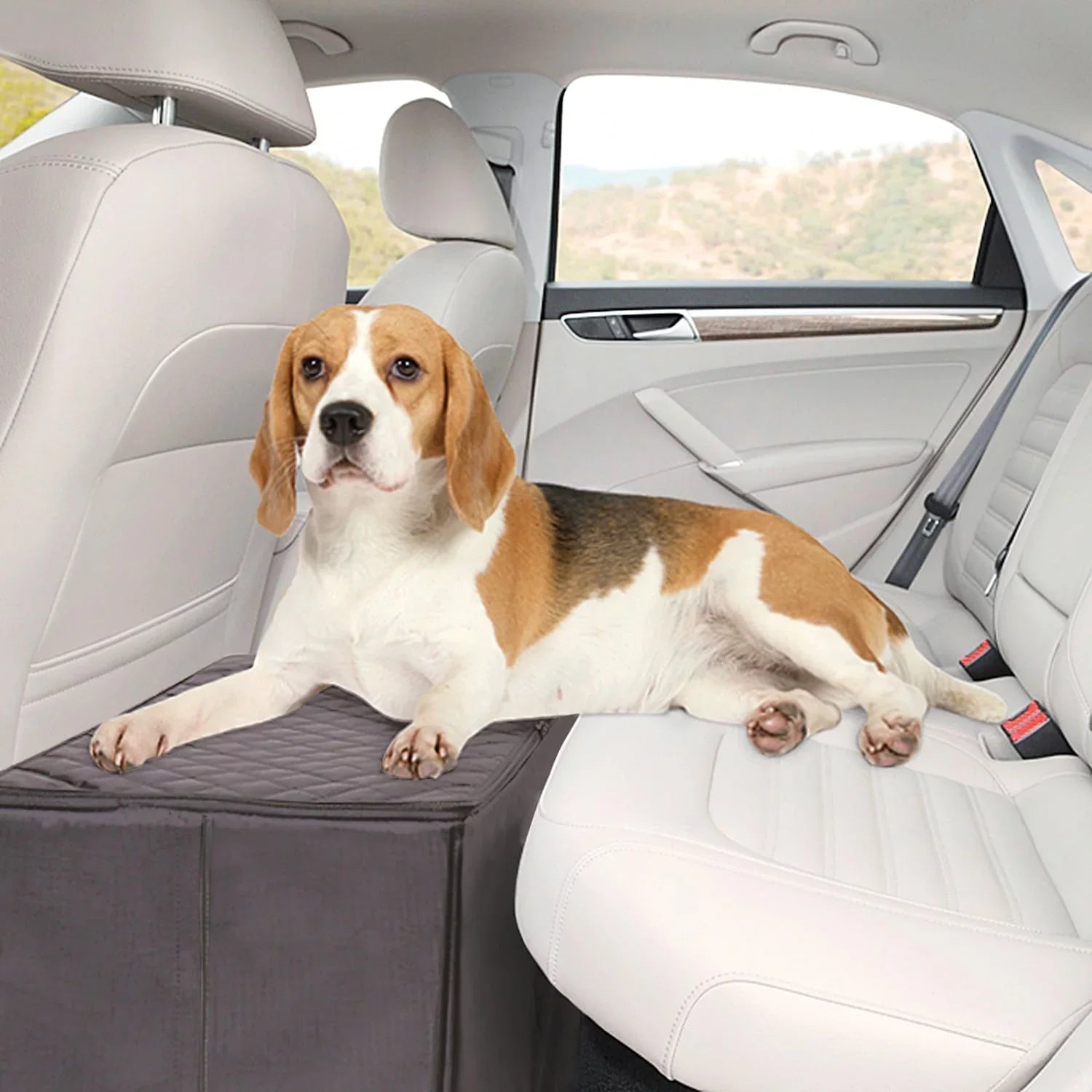 MSR Imports Dog Car Back Seat Extender Safer More Comfortable Back Seat Platform and Storage Jet