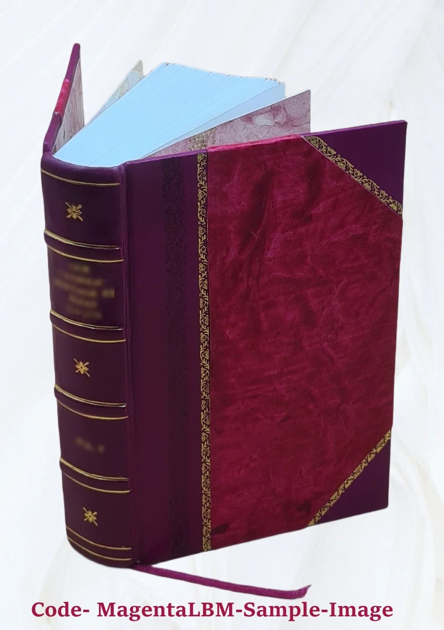 Le diocèse de Genève (partie de Savoie) pendant la Révolution française Volume 1 1894 [Leather Bound]