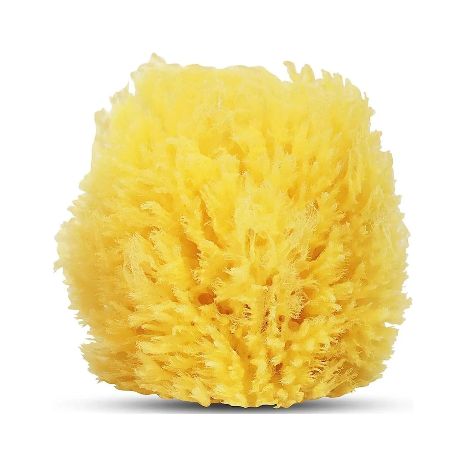 Baby Buddy Natural Grass Sea Sponge, Body Sponge Textured for Exfoliation, Works for Cradle Cap, Yellow, 4in, 1 Count