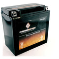 Chrome Battery Yb16cl-bs Pwc Battery for Kawasaki (jet Ski) Js300 Ts, Sx Year (86-91)