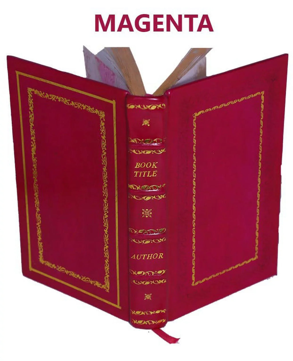 Les Vies des S.S. Peres des deserts et saintes solitaires d'Orient et d'Occident Volume 4 1714 [Premium Leather Bound]