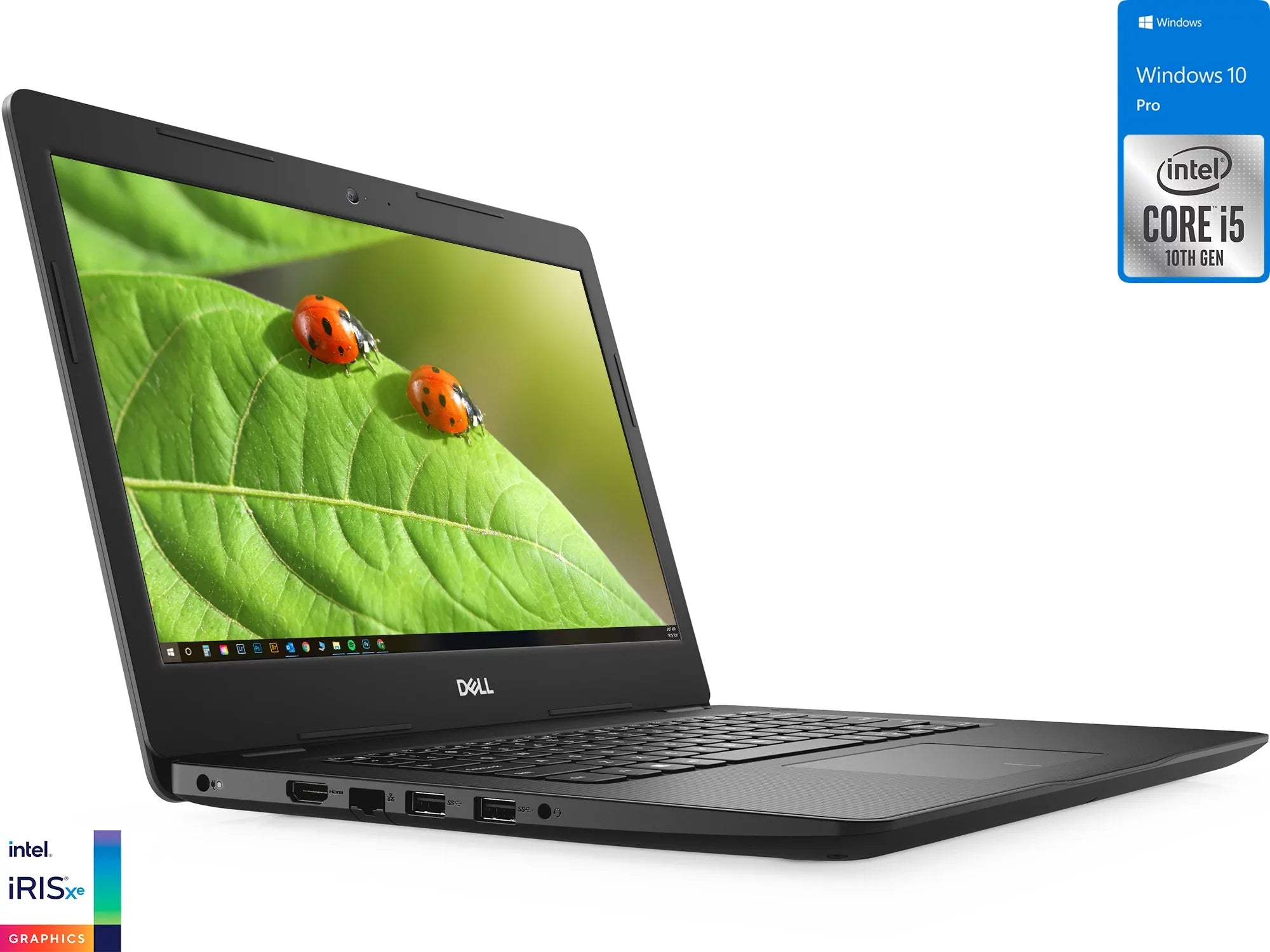 Inspiron 3493 Laptop, 14" FHD Display, Core i5-1035G4 Upto 3.7GHz, 16GB RAM, 1TB NVMe SSD, HDMI, Card Reader, Wi-Fi, Bluetooth, Windows 10 Pro