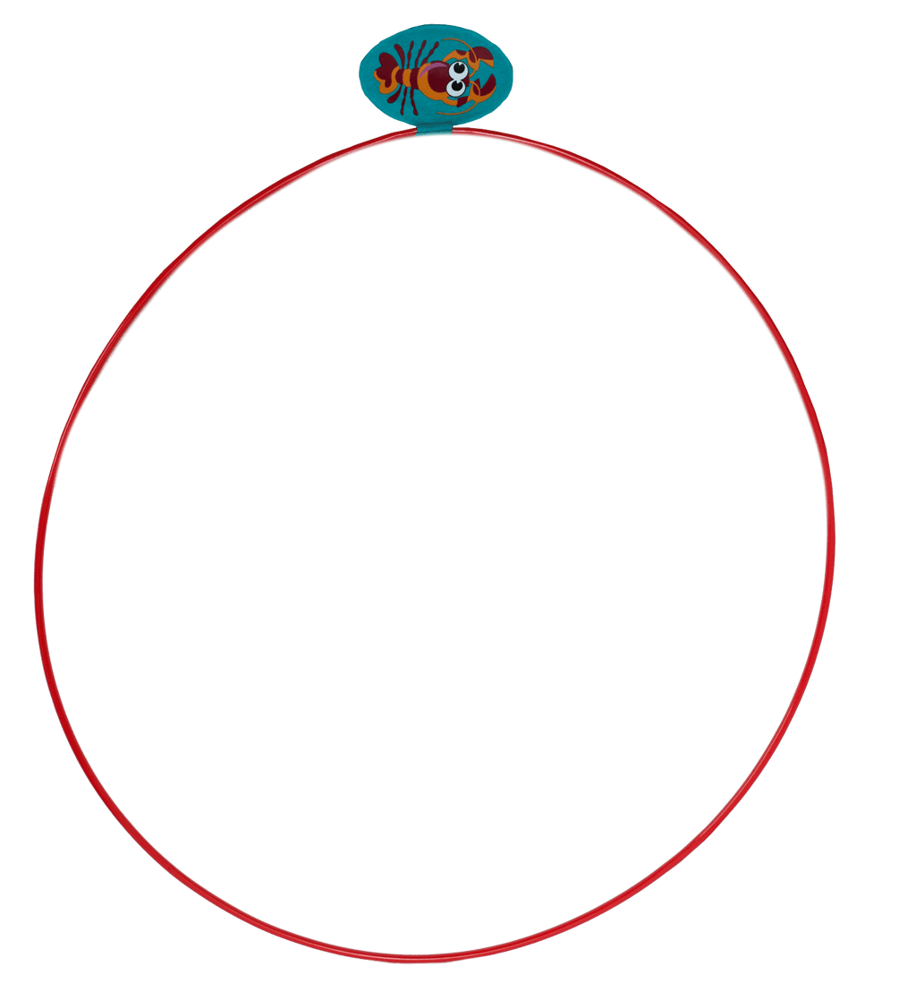 Water Sports Swim Thru Rings, Pool Toys, Children 8+ years (Colors Vary)