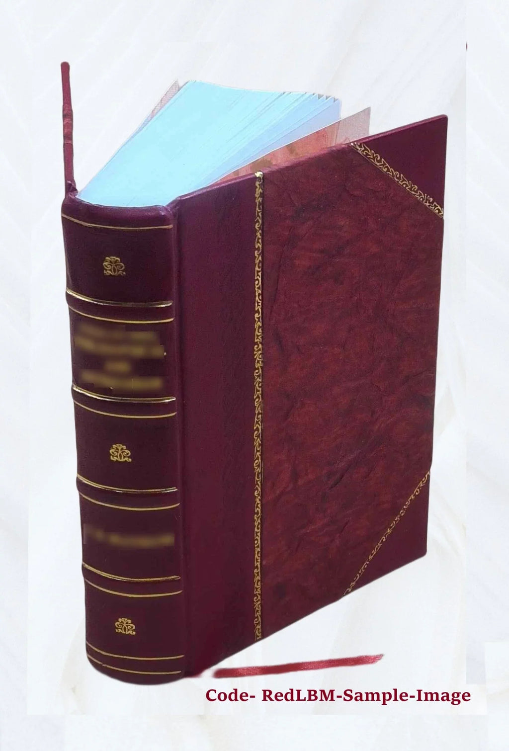 Chroniques de Genève Volume 2 2001 [Leather Bound]