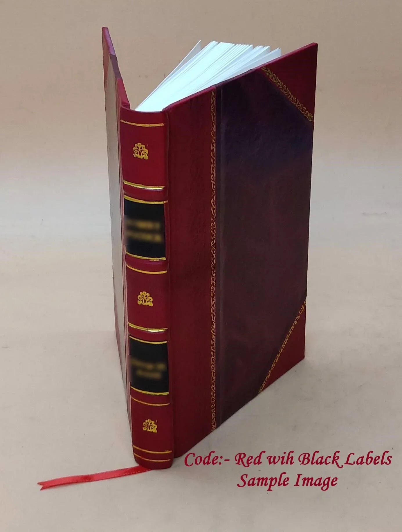 Square and compasses : or, Building the house [Leather Bound]
