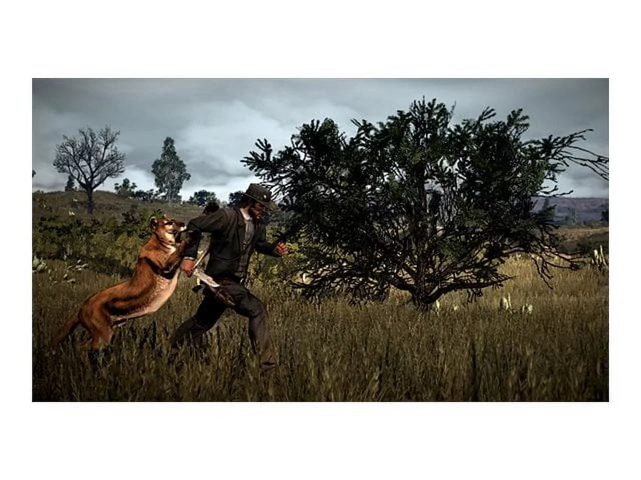 Red Dead Redemption 2: Ultimate Edition PS4