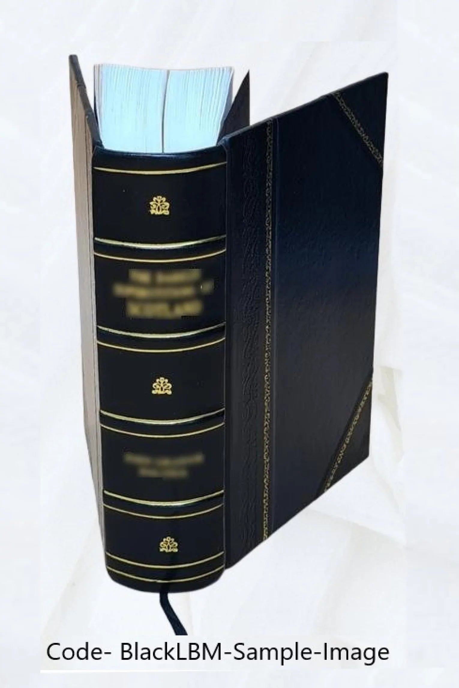 Le diocèse de Genève (partie de Savoie) pendant la Révolution française Volume 1 1894 [Leather Bound]