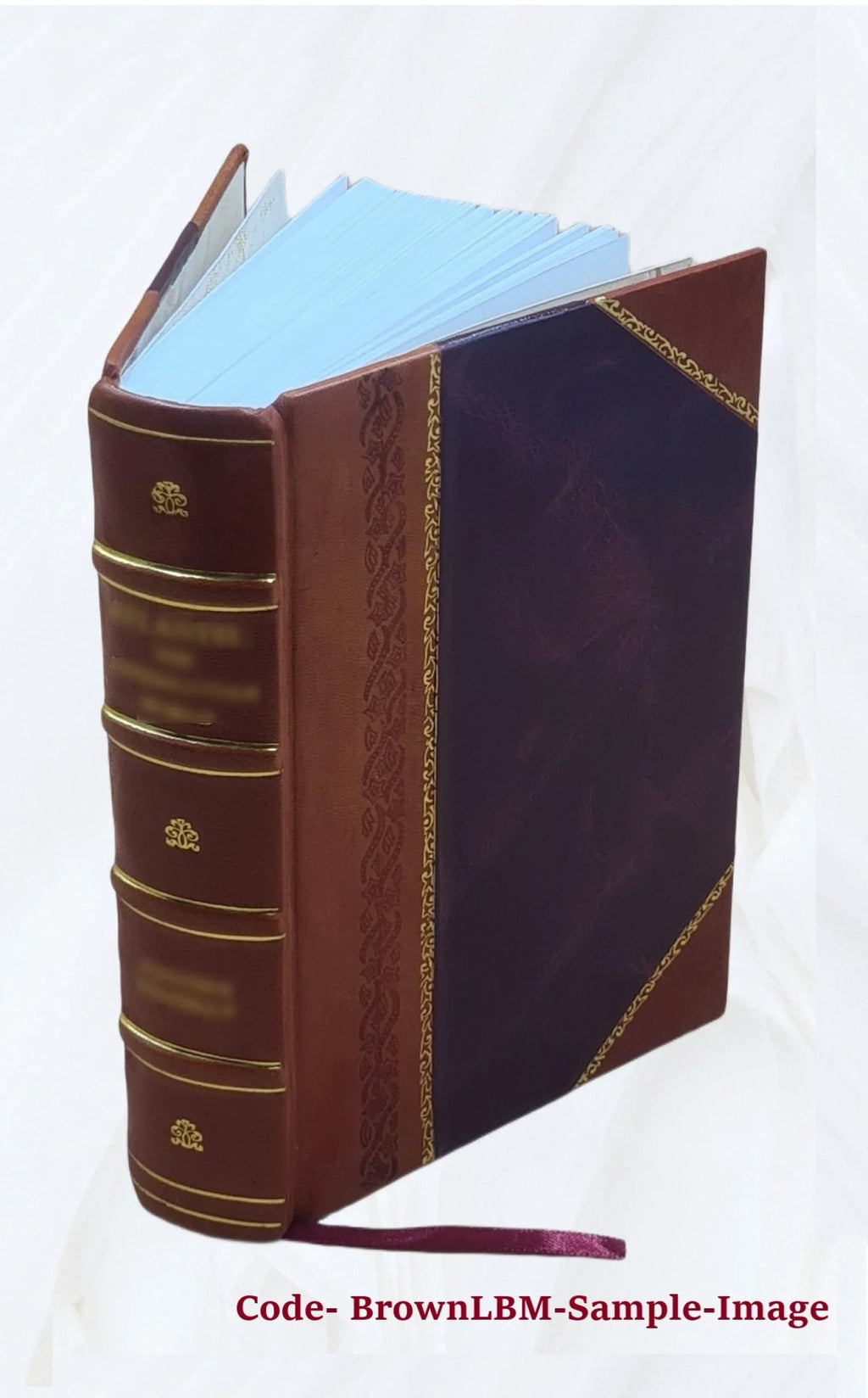 Le diocèse de Genève (partie de Savoie) pendant la Révolution française Volume 1 1894 [Leather Bound]