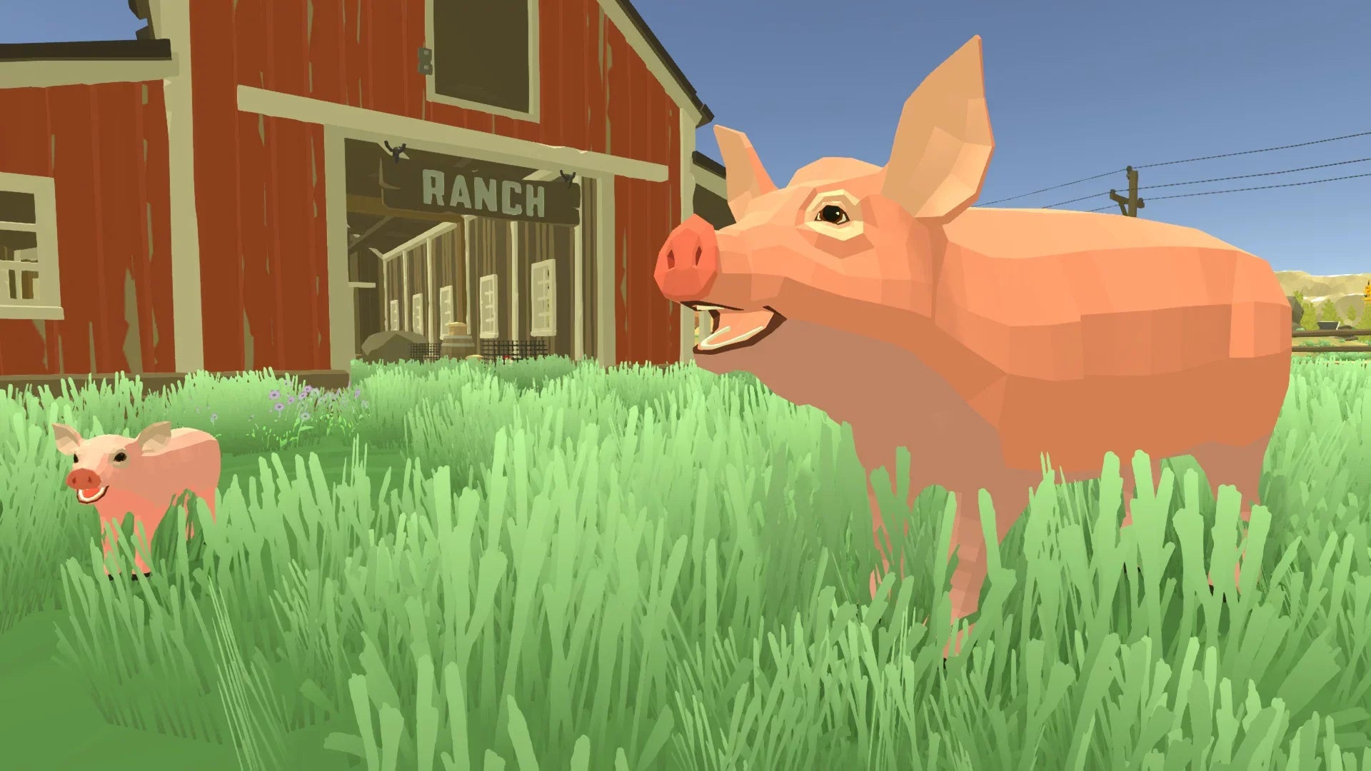 Harvest Days, Nintendo Switch