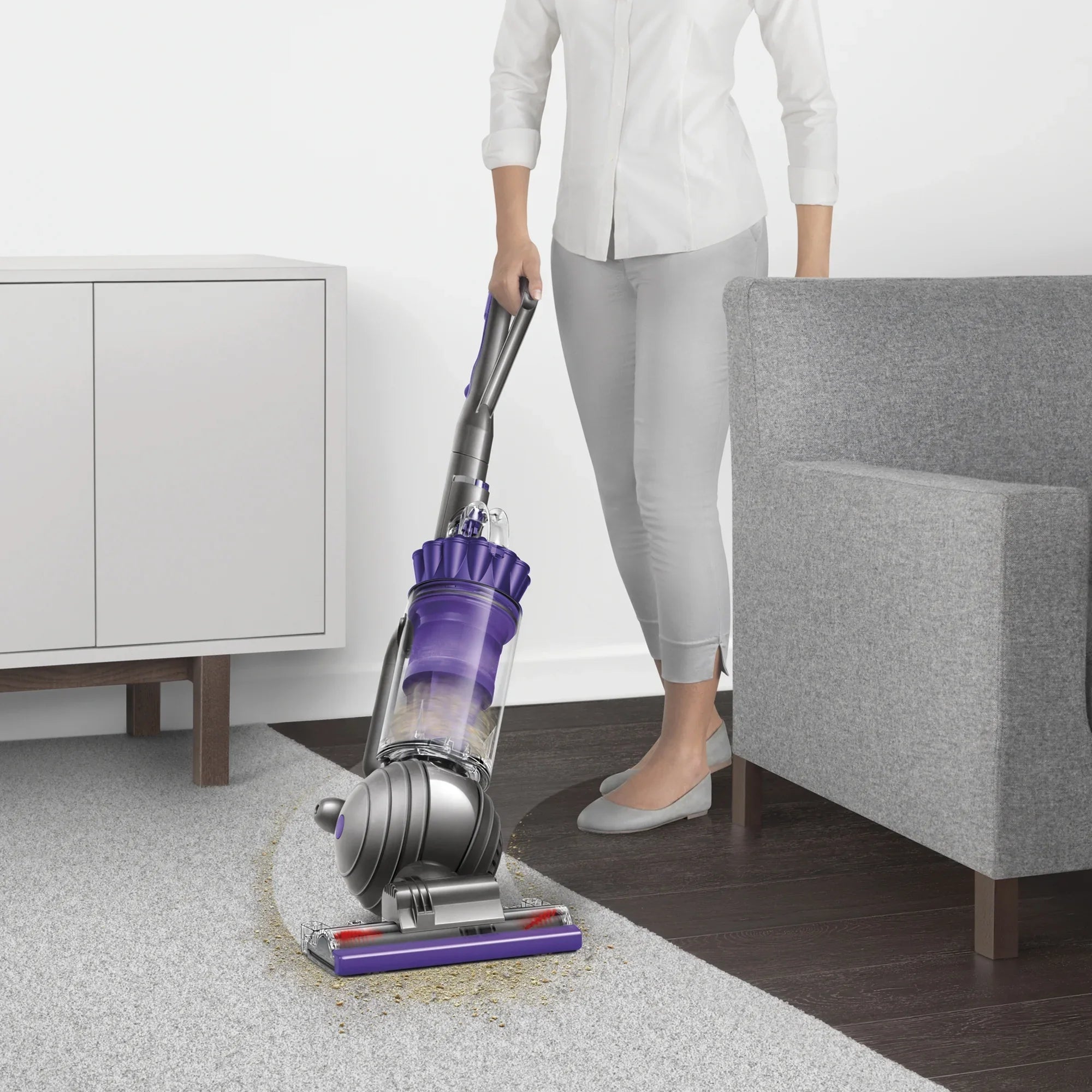 Dyson Ball Animal 2 Upright Vacuum | Purple | New