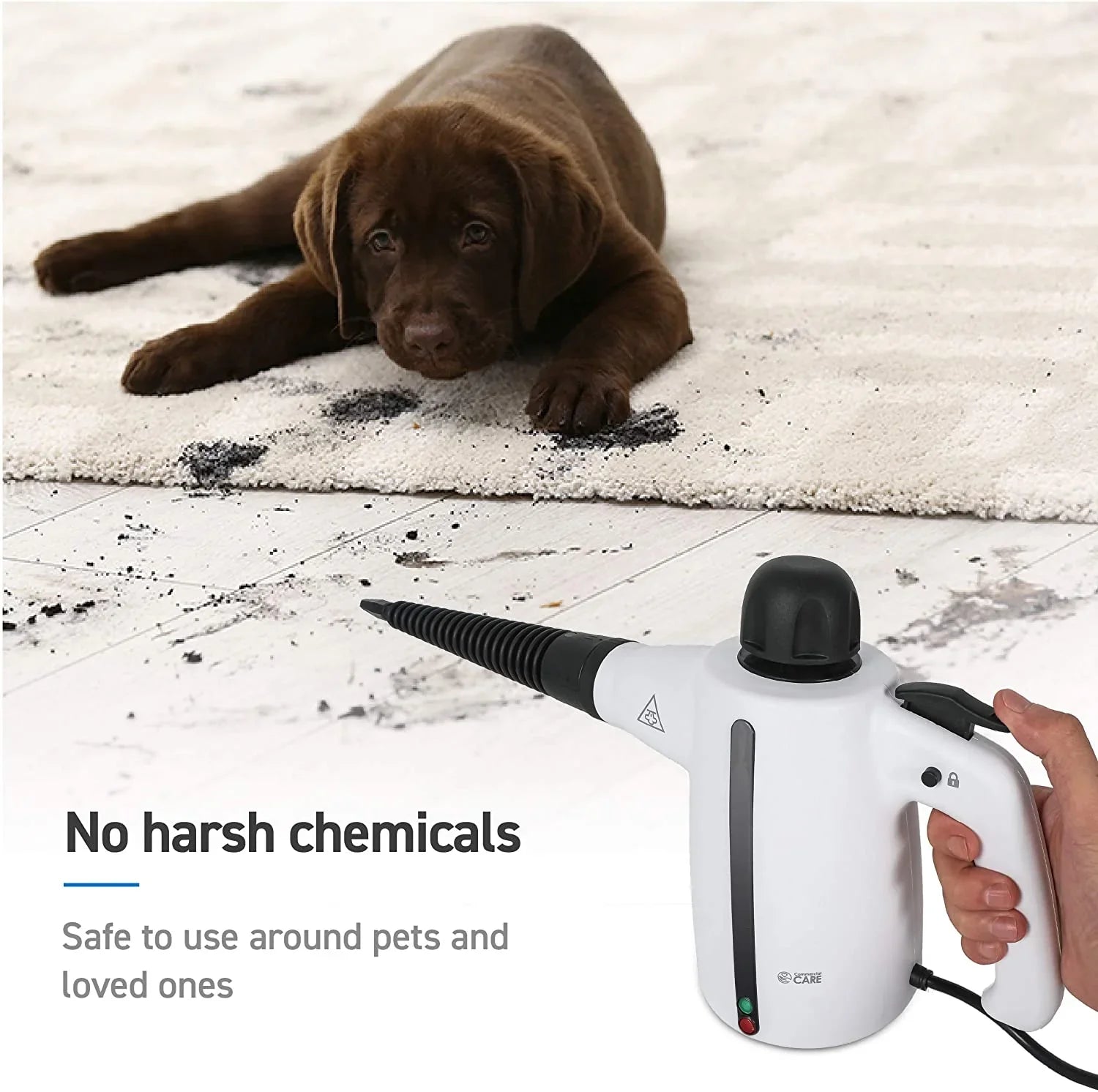 Handheld Steam Cleaner, 9-Piece Accessory Set, White, Steamer For Cleaning, Couch Cleaner, Steam Cleaner Carpet And Upholstery