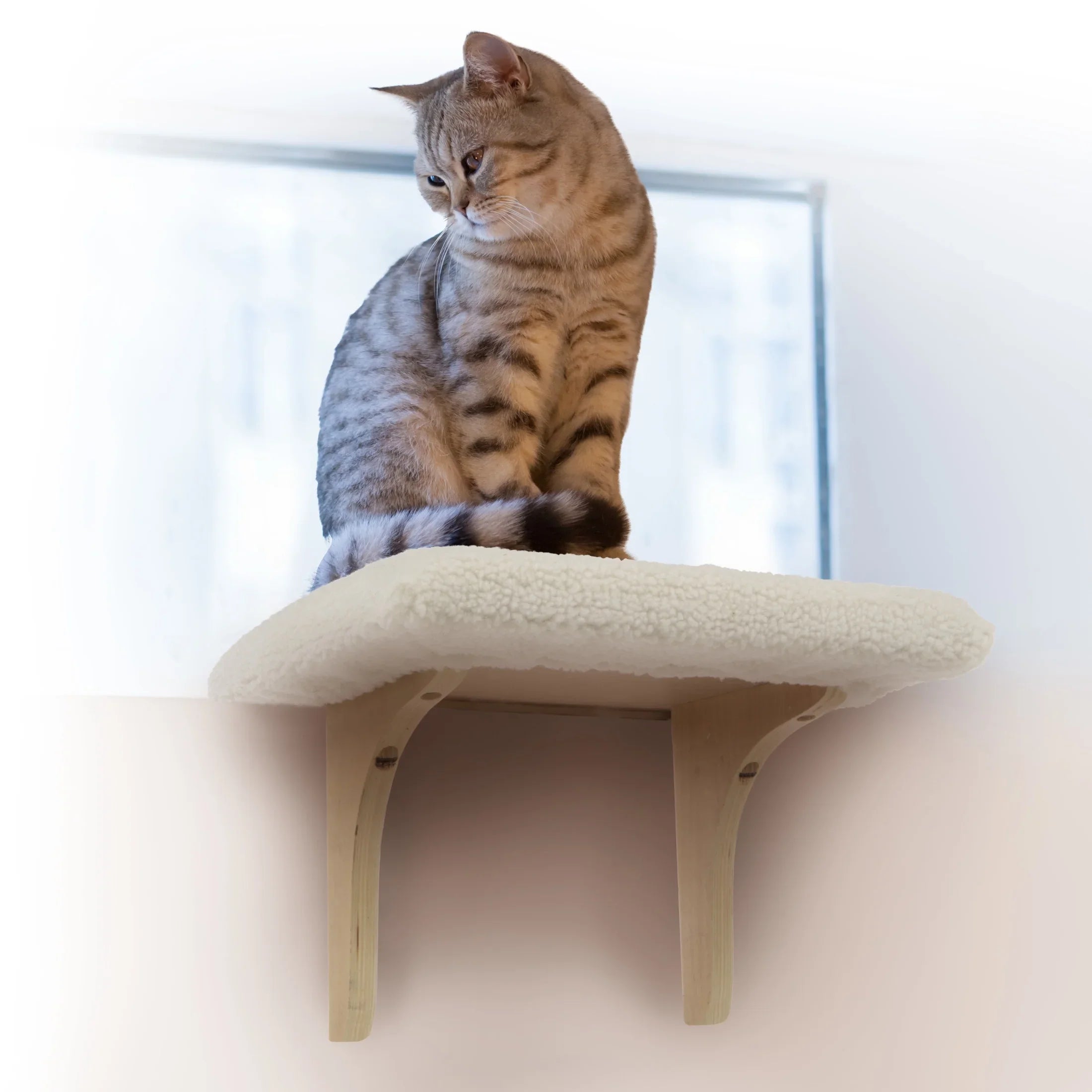 SmartyKat Paw Perch Padded Self-Adhesive Windowsill Mounted Cat Perch & Plush Cover, Cream